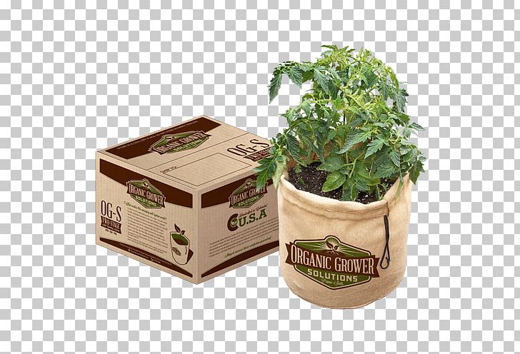 Herbalism Flowerpot Product PNG, Clipart, Flowerpot, Herb, Herbalism, Others, Plant Free PNG Download