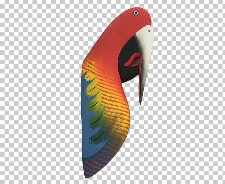 Macaw PNG, Clipart, Beak, Macaw, Miscellaneous, Orange, Others Free PNG Download