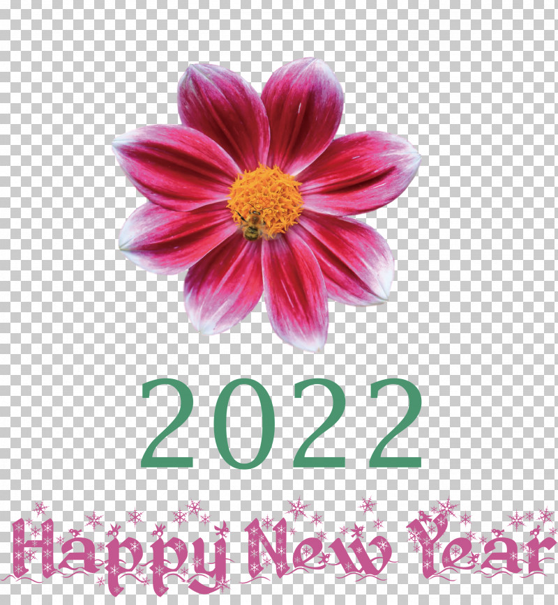 2022 Happy New Year 2022 New Year 2022 PNG, Clipart, Argyranthemum, Biology, Chrysanthemum, Cut Flowers, Dahlia Free PNG Download