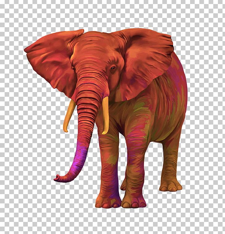 African Bush Elephant PNG, Clipart, African Elephant, Animal, Animals, Baby Elephant, Circus Free PNG Download