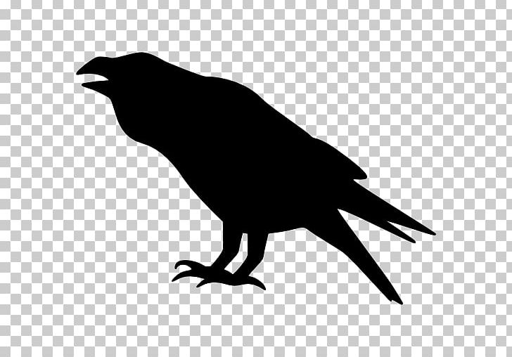 Bird Crow Drawing PNG, Clipart, Animals, Beak, Bird, Black And White, Common Raven Free PNG Download