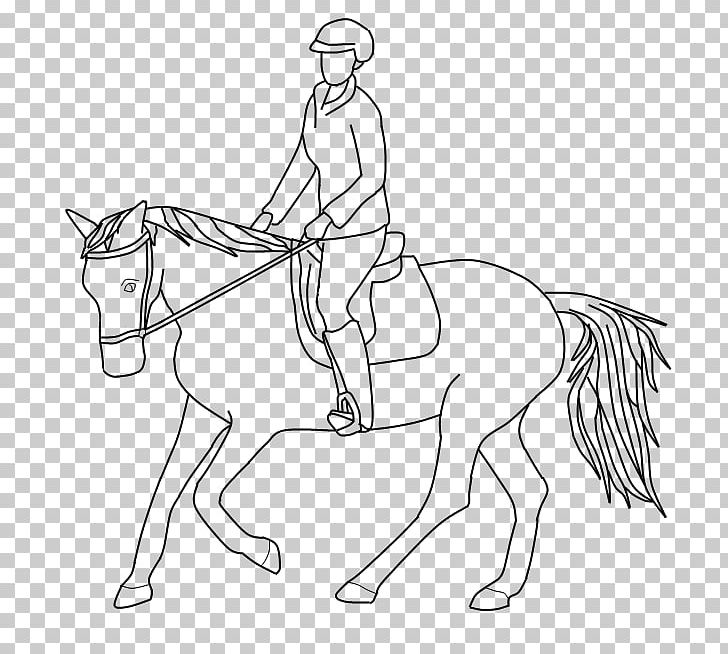 Mustang Pony Mane Line Art Equestrian PNG, Clipart, Angle, Arm, Fictional Character, Hand, Head Free PNG Download