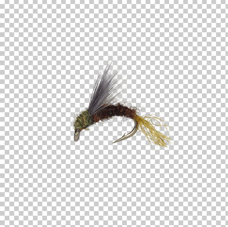 Baetis Insect Fly Fishing Artificial Fly Nymph PNG, Clipart, Artificial Fly, Baetis, Feather, Fly, Fly Fishing Free PNG Download