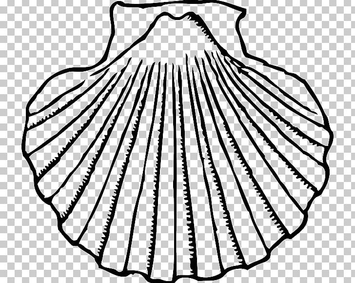 Clam Open Seashell PNG, Clipart, Animals, Artwork, Black And White, Circle, Clam Free PNG Download