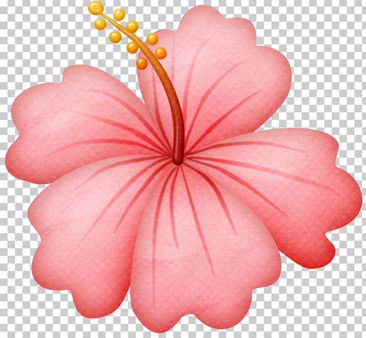 Flower Drawing PNG, Clipart, Albom, Computer Icons, Drawing, Floral Design, Flower Free PNG Download