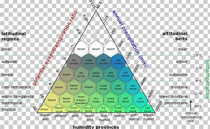 Holdridge Life Zones Climate Classification Tropical Rainforest PNG, Clipart, Angle, Area, Aridity Index, Biome, Climate Free PNG Download