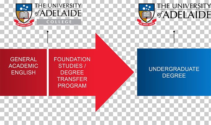 University Of Adelaide Business Management Academic Degree PNG, Clipart,  Free PNG Download