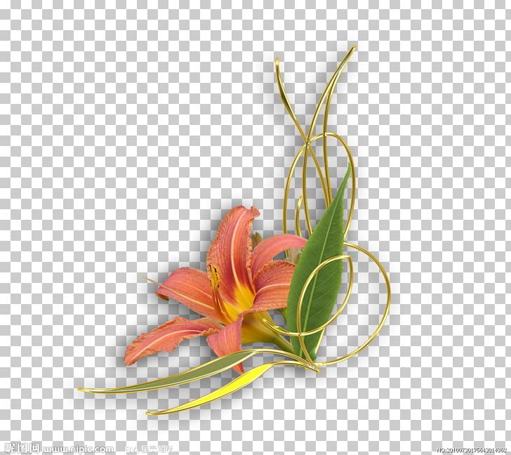 .de Flower Still Life Photography PNG, Clipart, Com, Cut Flowers, Dia, Flora, Floral Design Free PNG Download