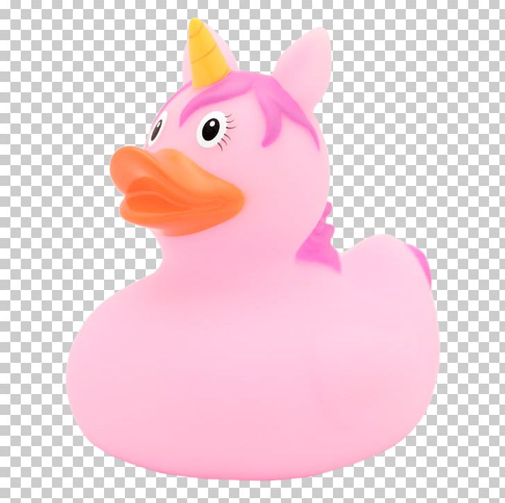 Duck Pink M Beak RTV Pink PNG, Clipart, Animals, Beak, Bird, Duck, Ducks Geese And Swans Free PNG Download