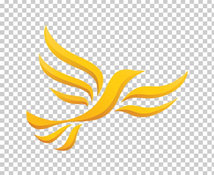 United Kingdom Scottish Liberal Democrats Liberalism Welsh Liberal Democrats PNG, Clipart, Computer Wallpaper, Europe, Fruit, Liberal, Liberal Democrats Free PNG Download