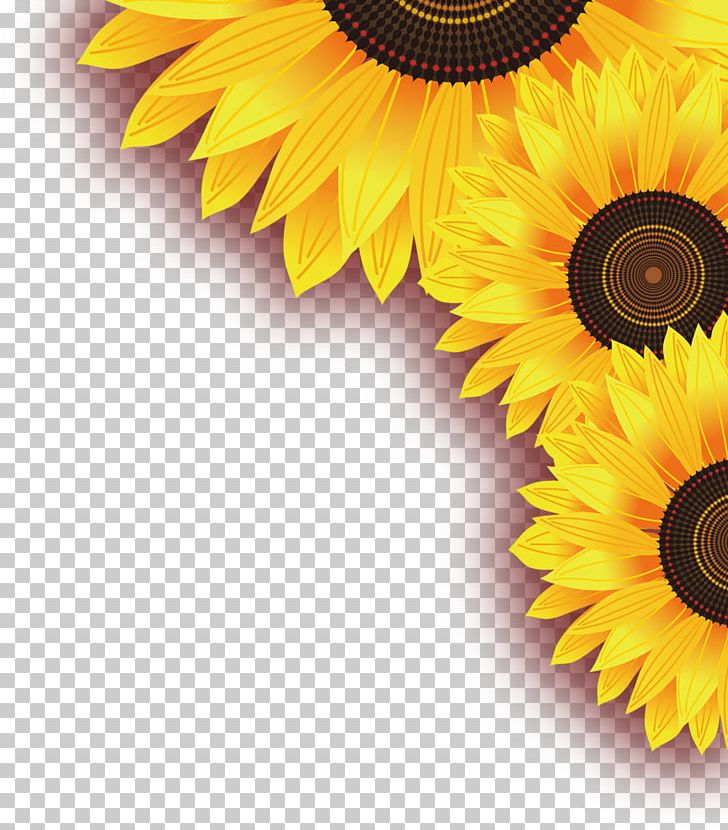 Common Sunflower Yellow Leaf PNG, Clipart, Christmas Decoration, Computer Wallpaper, Daisy Family, Decorative, Dimension Free PNG Download