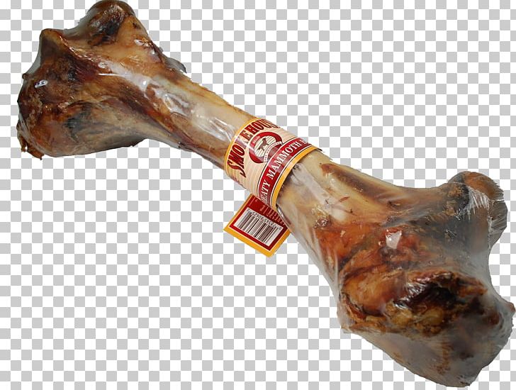 Dog Biscuit Bone Femur Pet Sitting PNG, Clipart, Animals, Animal Source Foods, Bone, Bone Marrow, Canis Free PNG Download