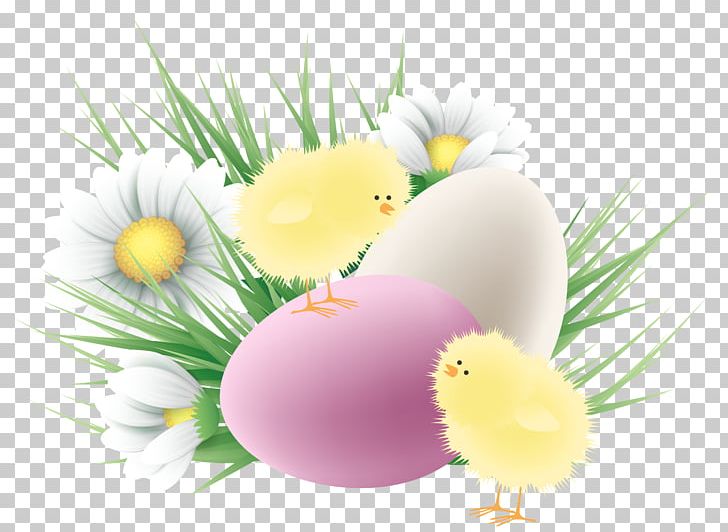 Easter Bunny Easter Egg Palm Sunday PNG, Clipart, Chicken, Chicken Egg, Computer Wallpaper, Easter, Easter Clip Art Free PNG Download