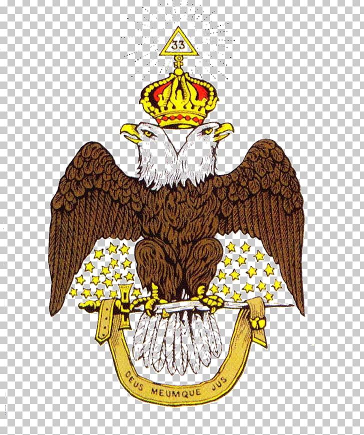 House Of The Temple Supreme Council PNG, Clipart, Bird, Bird Of Prey, Crest, Eagle, Freemasonry Free PNG Download