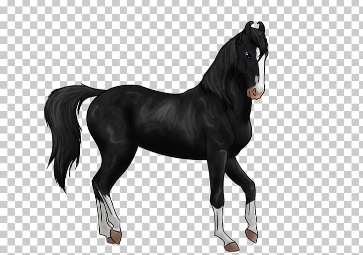 Stallion Foal Mustang Colt Mare PNG, Clipart, Animal, Bit, Black, Bridle, Colt Free PNG Download