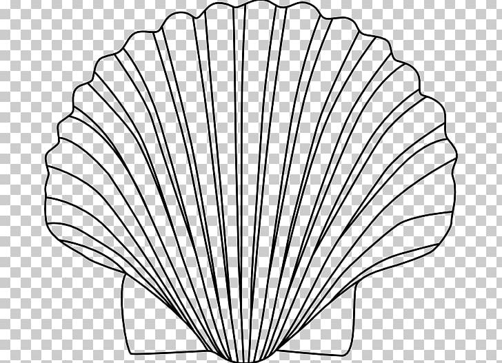 Seashell Drawing PNG, Clipart, Angle, Animals, Art, Black And White, Clip Art Free PNG Download
