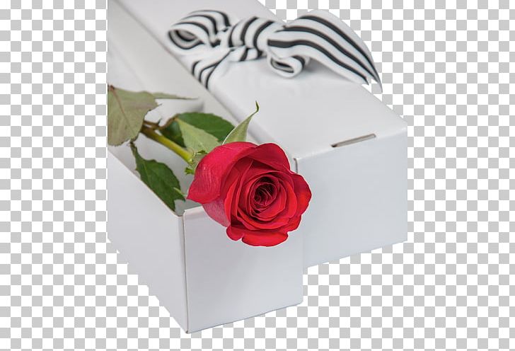 Garden Roses Floral Design Cut Flowers PNG, Clipart, Box, Cut Flowers, Floral Design, Flower, Flowering Plant Free PNG Download