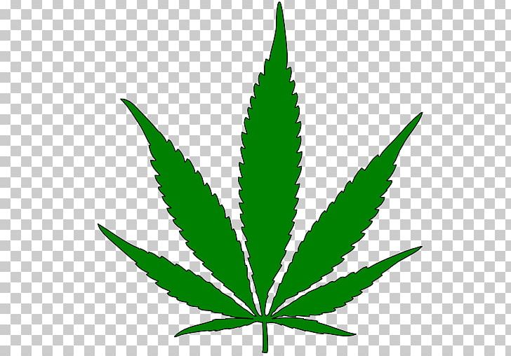Global Marijuana March Canada Legality Of Cannabis Medical Cannabis PNG, Clipart, 420 Day, Canada, Canadian Cannabis, Cannabis, Cannabis Cultivation Free PNG Download