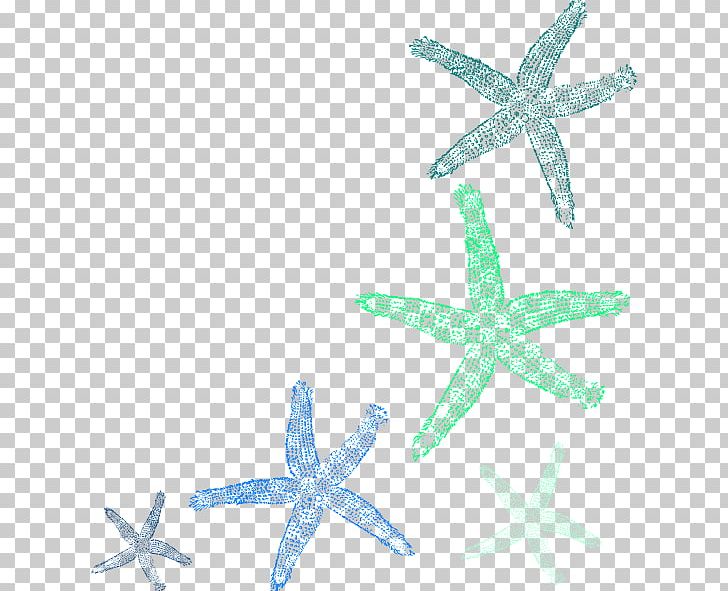 Starfish PNG, Clipart, Animals, Aqua, Art, Clip Art, Computer Icons Free PNG Download