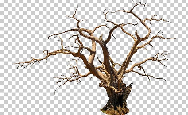 The Halloween Tree PNG, Clipart, Branch, Encapsulated Postscript, Flower, Halloween, Halloween Tree Free PNG Download