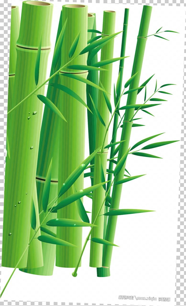Zongzi Dragon Boat Festival U7aefu5348 Bamboo PNG, Clipart, Advertising, Bamboo Border, Bamboo Frame, Bamboo Leaf, Bamboo Leaves Free PNG Download