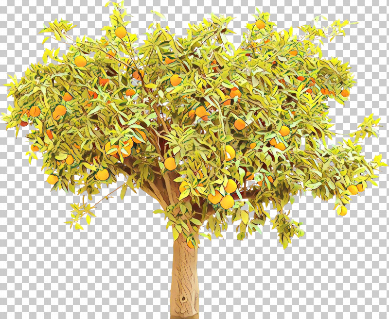 Plane PNG, Clipart, Branch, Flower, Plane, Plant, Plant Stem Free PNG Download