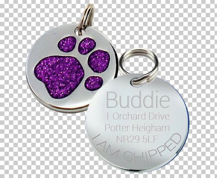 Cat Dingo Pet Tag French Bulldog PNG, Clipart, Bulldog, Cat, Claw, Dingo, Dog Free PNG Download