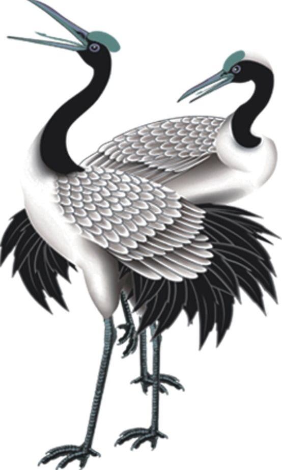 Crane PNG, Clipart, Crane, Crane Clipart, Fig., Red Crowned, Red Crowned Crane Free PNG Download