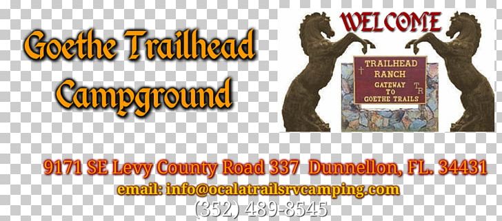 Goethe Trailhead Ranch RV Campground Dunnellon Campsite Campervans Pet PNG, Clipart, Advertising, Area, Banner, Brand, Campervans Free PNG Download