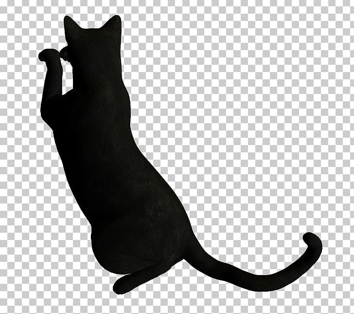 Whiskers Cat Font Tail Black M PNG, Clipart, Animals, Black, Black And White, Black Cat, Black M Free PNG Download
