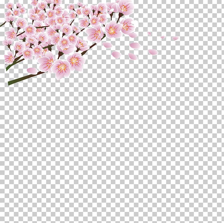 Peach Blossom Petal Flower PNG, Clipart, Blossoms, Blossom Vector, Cherry Blossom, Cherry Blossoms, Festival Vector Free PNG Download