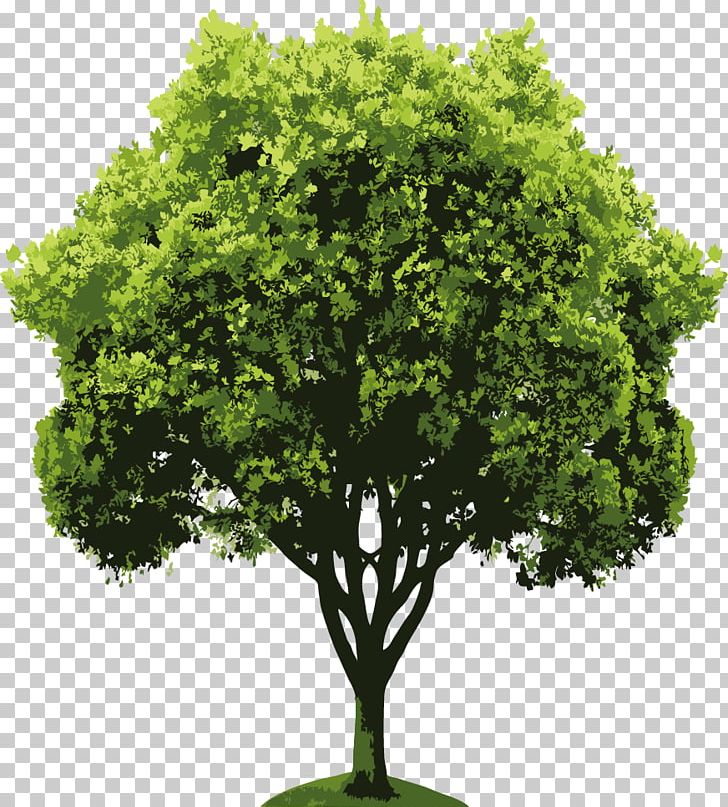 Nature Drawing Natural Landscape PNG, Clipart, Animation, Branch, Cartoon, Desktop Wallpaper, Drawing Free PNG Download