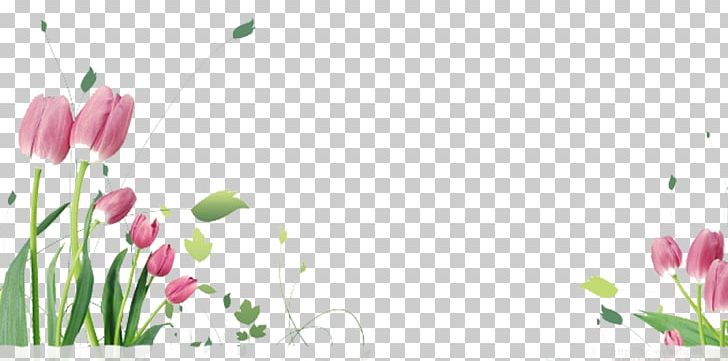 Tulip Flower Stock.xchng Eid Al-Fitr PNG, Clipart, Computer Wallpaper, Decoration, Eid Aladha, Eid Alfitr, Eid Mubarak Free PNG Download