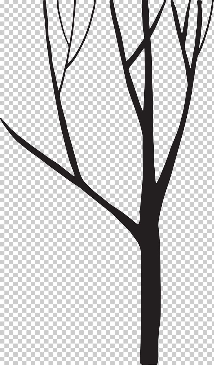 Black And White Silhouette Tree PNG, Clipart, Animals, Black, Branch, Christmas Tree, Download Free PNG Download