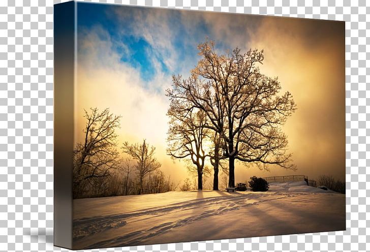 Painting Landscape Winter Sunset PNG, Clipart, Art, Branch, Computer Wallpaper, Desktop Wallpaper, Fineart Photography Free PNG Download