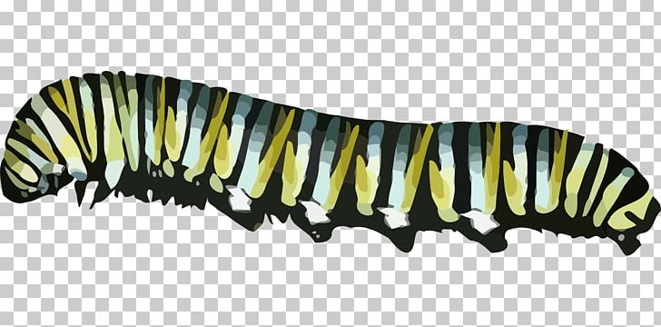 Butterfly Caterpillar PNG, Clipart, Animal Figure, Animals, Arthropod, Butterfly, Caterpillar Free PNG Download