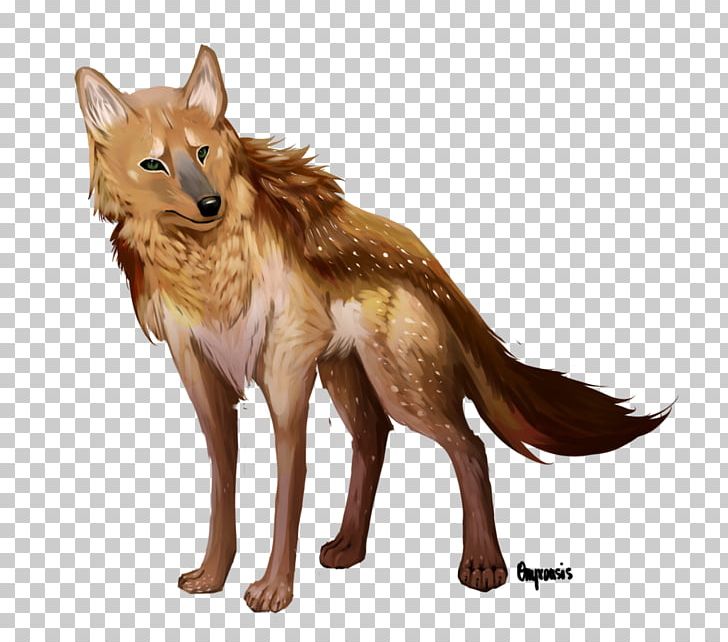 Coyote Dog Dhole Red Fox PNG, Clipart, Animal, Animals, Canidae, Carnivora, Carnivoran Free PNG Download