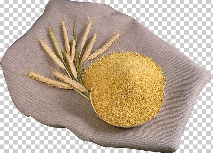 Wheat Porridge Congee Foxtail Millet Caryopsis Rice PNG, Clipart, Commodity, Congee, Food, Foxtail Millet, Free Free PNG Download