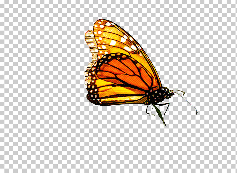Monarch Butterfly PNG, Clipart, Brushfooted Butterflies, Butterflies, Drawing, Flower, Line Art Free PNG Download