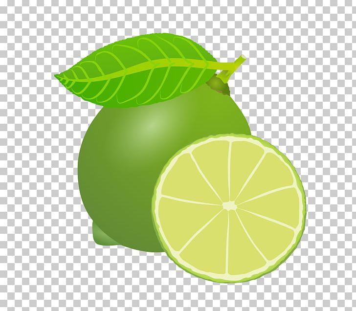 Persian Lime Sweet Lemon Key Lime PNG, Clipart, Auglis, Cartoon, Citric Acid, Citron, Citrus Free PNG Download
