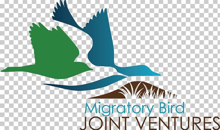 Bird Migration Bird Conservation Joint Venture Logo PNG, Clipart, Animal Migration, Animals, Artwork, Beak, Bird Free PNG Download