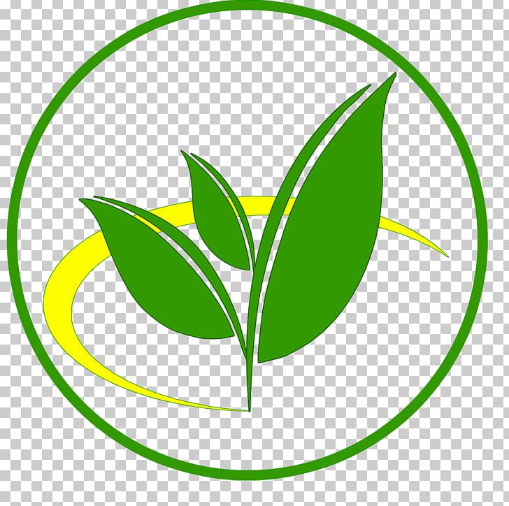 Hanoi Matcha Green Tea Apax English Vietnam PNG, Clipart, Apax English, Area, Artwork, Grass, Green Free PNG Download