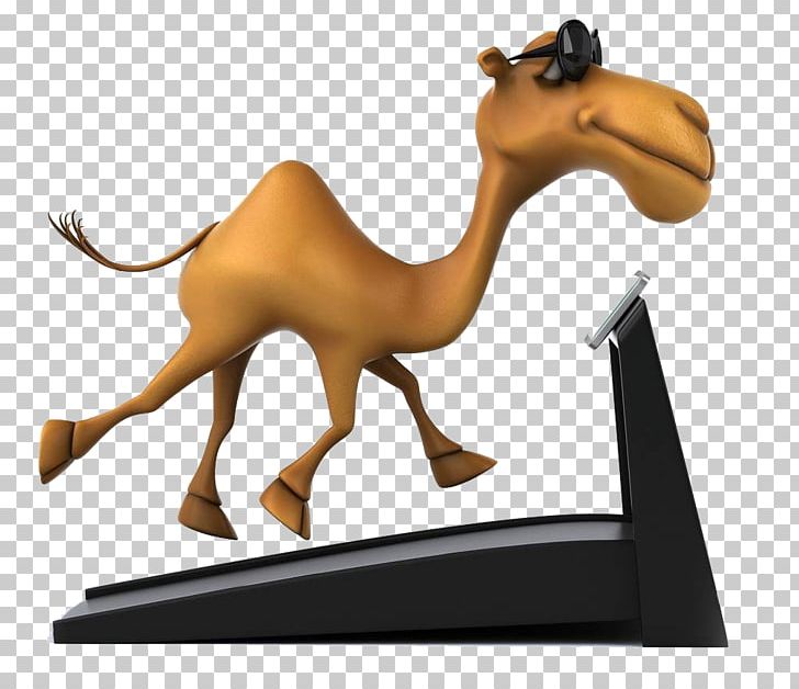 Camel Stock Photography Cartoon PNG, Clipart, Animal, Animals, Art, Athlete Running, Athletics Running Free PNG Download