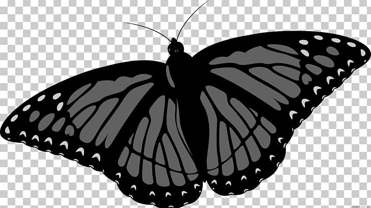 Monarch Butterfly Scalable Graphics PNG, Clipart, Arthropod, Black And White, Brush Footed Butterfly, Butterfly, Computer Icons Free PNG Download