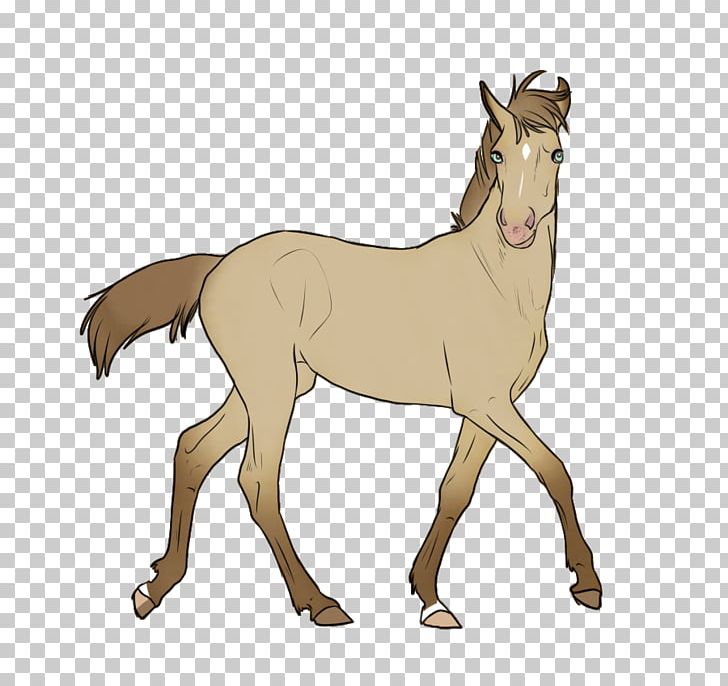 Mule Foal Stallion Colt Mare PNG, Clipart, Animal Figure, Bridle, Cartoon, Champagne, Character Free PNG Download