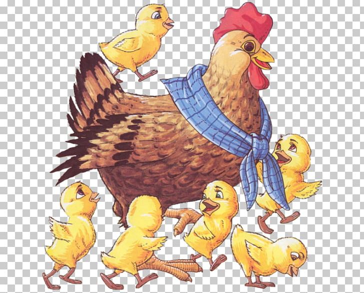 Rooster Chicken Kifaranga Hen Bird PNG, Clipart, Animal Husbandry, Animals, Animal Slaughter, Art, Beak Free PNG Download