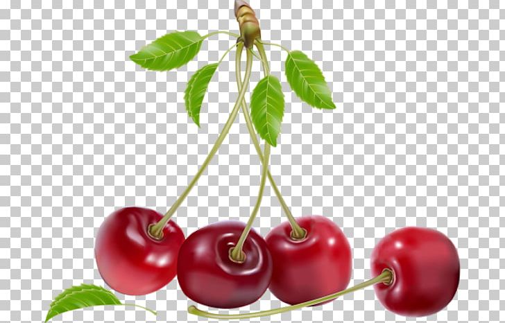 Natural Foods Frutti Di Bosco Food PNG, Clipart, Acerola, Acerola Family, Berry, Carambola, Cerise Free PNG Download