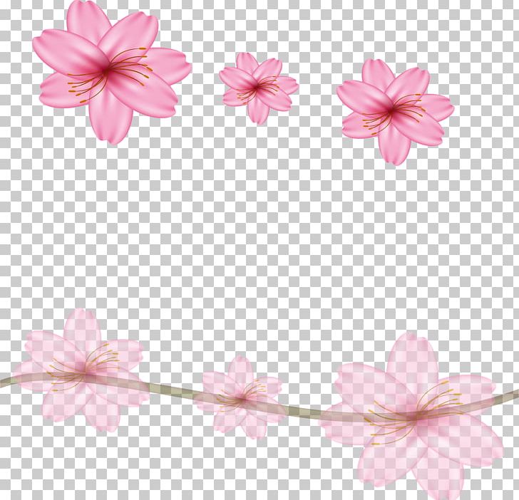 Floral Design Cherry Blossom Flower PNG, Clipart, Blossom, Border Frame, Border Vector, Certificate Border, Cherry Blossoms Free PNG Download