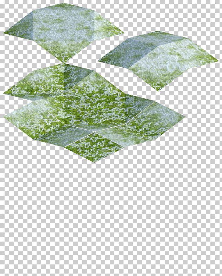 Green Leaf PNG, Clipart, Absolute, Grass, Green, Leaf, Rawr Free PNG Download