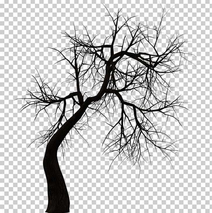 Kuntilanak Terbang Tree PNG, Clipart, Android, Art, Black And White, Branch, Computer Icons Free PNG Download